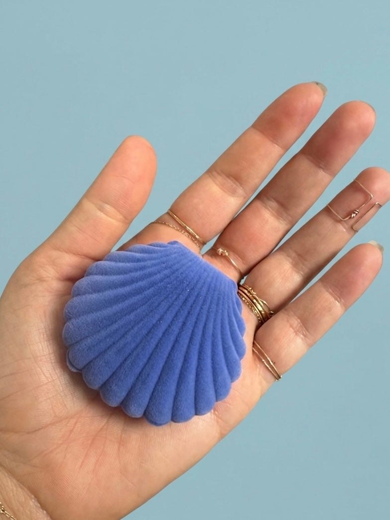 Seashell Jewelry Box