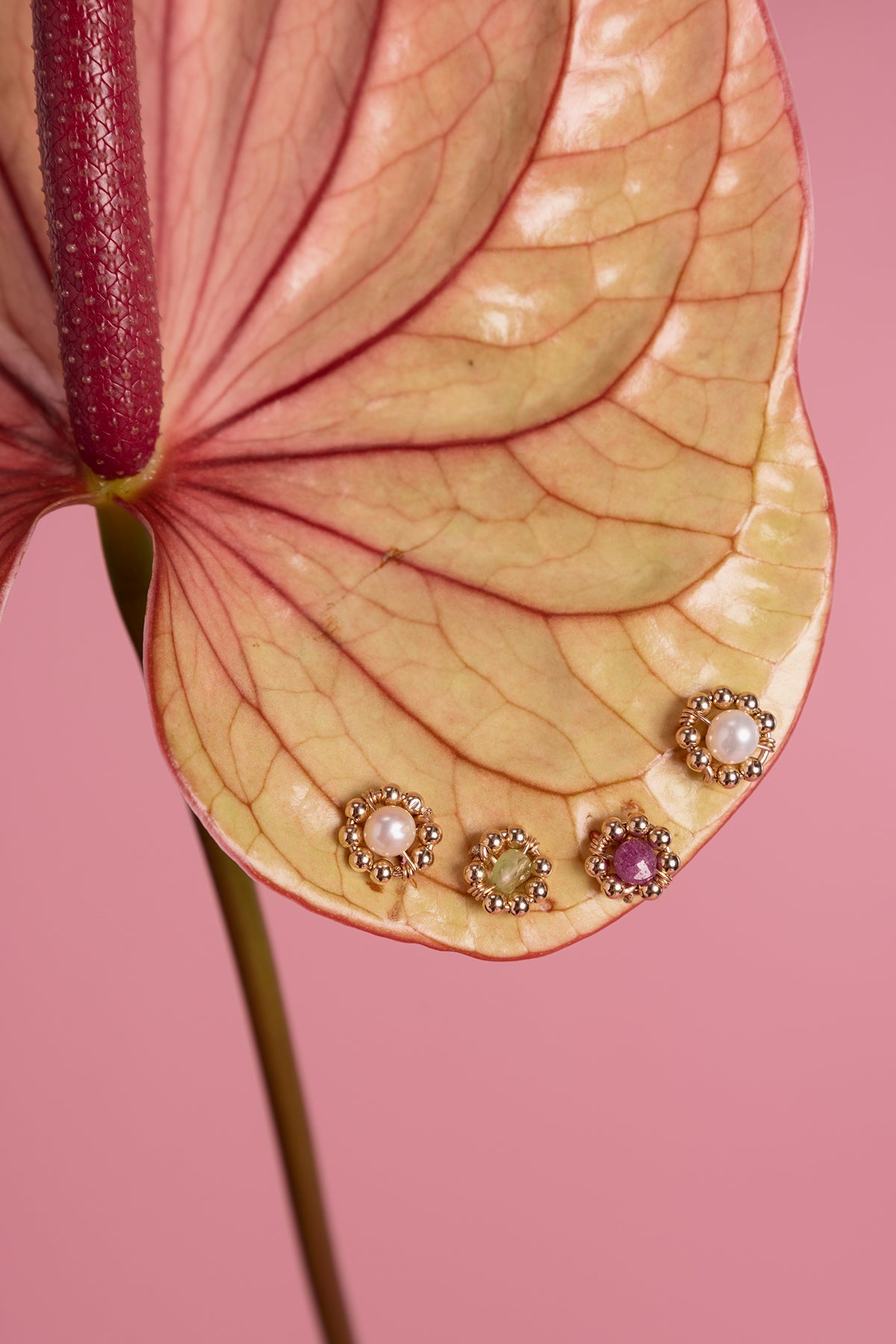 Puces Daisy - Perle de culture